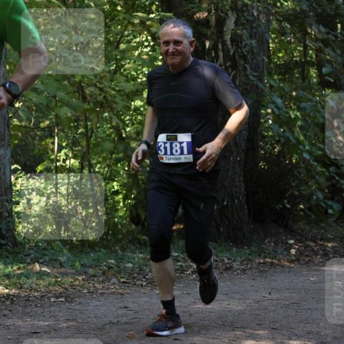 28.09.2025 - 33. Volkslauf durch das schöne Alstertal Strokosch-Dieckow http://msf.ph/oto/8969353 28.09.2025 11:26:07 Laufen 037, 3181 meine-sportfotos.de