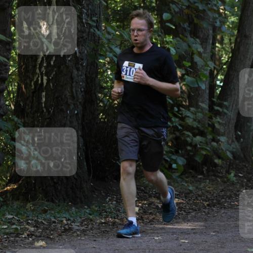 28.09.2025 - 33. Volkslauf durch das schöne Alstertal Strokosch-Dieckow http://msf.ph/oto/8969361 28.09.2025 11:26:19 Laufen 310 meine-sportfotos.de