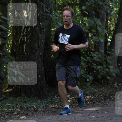 28.09.2025 - 33. Volkslauf durch das schöne Alstertal Strokosch-Dieckow http://msf.ph/oto/8969362 28.09.2025 11:26:19 Laufen 3105 meine-sportfotos.de