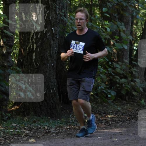 28.09.2025 - 33. Volkslauf durch das schöne Alstertal Strokosch-Dieckow http://msf.ph/oto/8969363 28.09.2025 11:26:19 Laufen 3105 meine-sportfotos.de