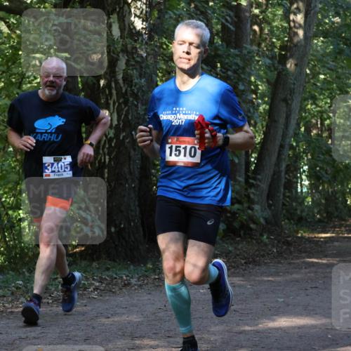28.09.2025 - 33. Volkslauf durch das schöne Alstertal Strokosch-Dieckow http://msf.ph/oto/8969369 28.09.2025 11:26:30 Laufen 2017, 3405, 1510 meine-sportfotos.de