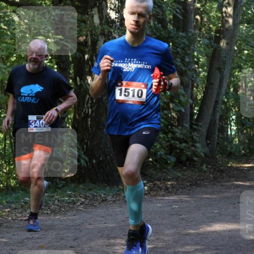 28.09.2025 - 33. Volkslauf durch das schöne Alstertal Strokosch-Dieckow http://msf.ph/oto/8969371 28.09.2025 11:26:30 Laufen 340, 2017, 1510 meine-sportfotos.de