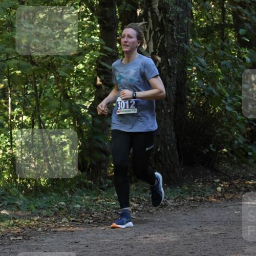 28.09.2025 - 33. Volkslauf durch das schöne Alstertal Strokosch-Dieckow http://msf.ph/oto/8969372 28.09.2025 11:26:36 Laufen 3012, 355 meine-sportfotos.de