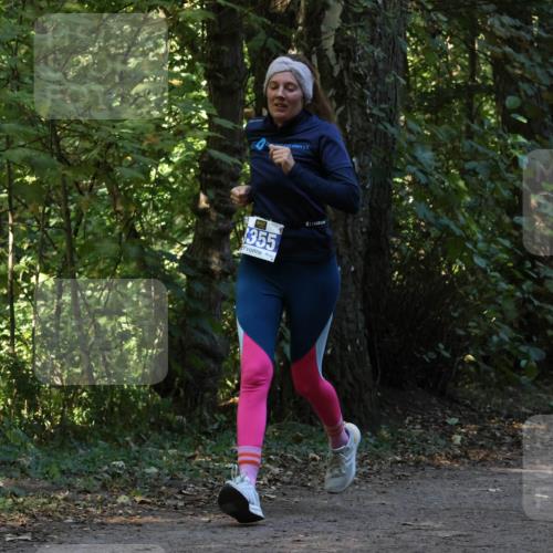 28.09.2025 - 33. Volkslauf durch das schöne Alstertal Strokosch-Dieckow http://msf.ph/oto/8969376 28.09.2025 11:26:39 Laufen 355, 1 meine-sportfotos.de