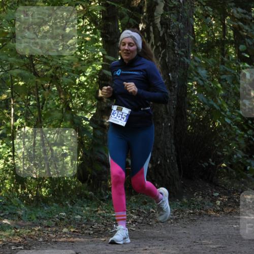 28.09.2025 - 33. Volkslauf durch das schöne Alstertal Strokosch-Dieckow http://msf.ph/oto/8969377 28.09.2025 11:26:39 Laufen 355 meine-sportfotos.de
