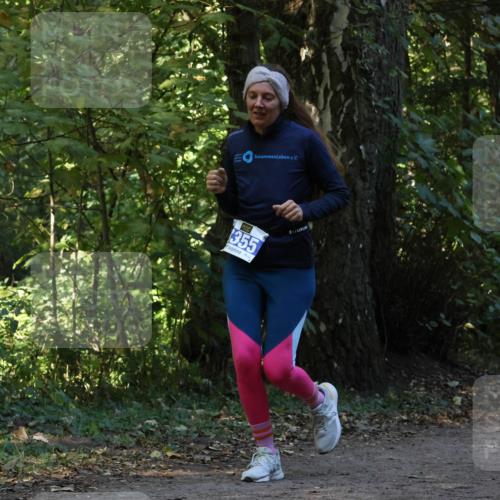 28.09.2025 - 33. Volkslauf durch das schöne Alstertal Strokosch-Dieckow http://msf.ph/oto/8969378 28.09.2025 11:26:39 Laufen 355 meine-sportfotos.de