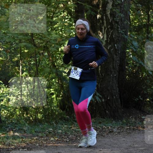 28.09.2025 - 33. Volkslauf durch das schöne Alstertal Strokosch-Dieckow http://msf.ph/oto/8969379 28.09.2025 11:26:39 Laufen 355 meine-sportfotos.de
