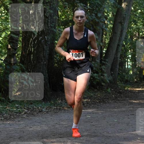 28.09.2025 - 33. Volkslauf durch das schöne Alstertal Strokosch-Dieckow http://msf.ph/oto/8969381 28.09.2025 11:26:42 Laufen 1001 meine-sportfotos.de
