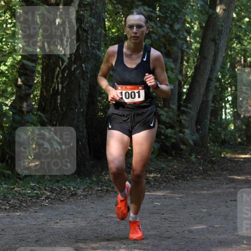 28.09.2025 - 33. Volkslauf durch das schöne Alstertal Strokosch-Dieckow http://msf.ph/oto/8969382 28.09.2025 11:26:42 Laufen 001 meine-sportfotos.de