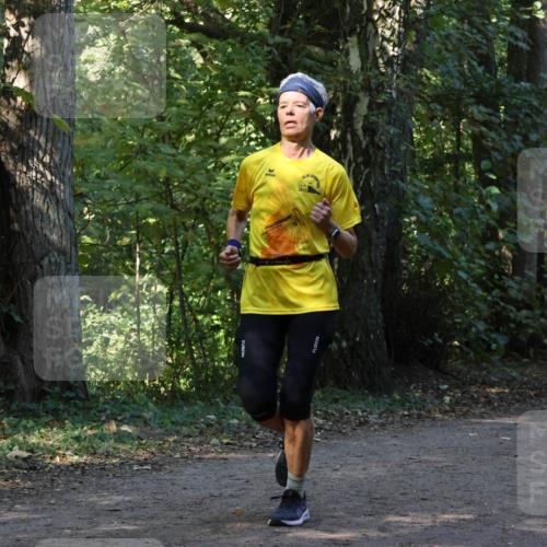 28.09.2025 - 33. Volkslauf durch das schöne Alstertal Strokosch-Dieckow http://msf.ph/oto/8969383 28.09.2025 11:26:46 Laufen 2017 meine-sportfotos.de