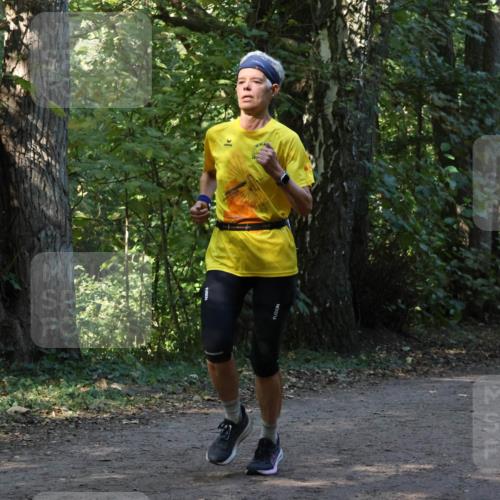 28.09.2025 - 33. Volkslauf durch das schöne Alstertal Strokosch-Dieckow http://msf.ph/oto/8969384 28.09.2025 11:26:46 Laufen  meine-sportfotos.de