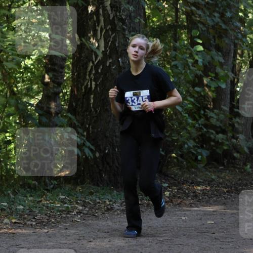 28.09.2025 - 33. Volkslauf durch das schöne Alstertal Strokosch-Dieckow http://msf.ph/oto/8969387 28.09.2025 11:26:48 Laufen 3345 meine-sportfotos.de