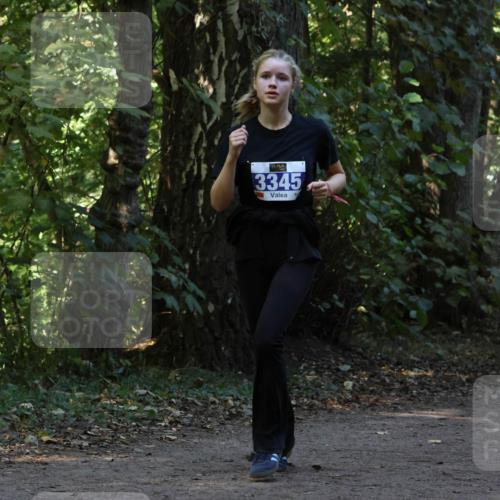 28.09.2025 - 33. Volkslauf durch das schöne Alstertal Strokosch-Dieckow http://msf.ph/oto/8969389 28.09.2025 11:26:48 Laufen 3345 meine-sportfotos.de