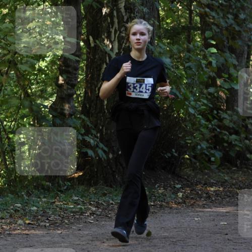 28.09.2025 - 33. Volkslauf durch das schöne Alstertal Strokosch-Dieckow http://msf.ph/oto/8969390 28.09.2025 11:26:49 Laufen 3345 meine-sportfotos.de
