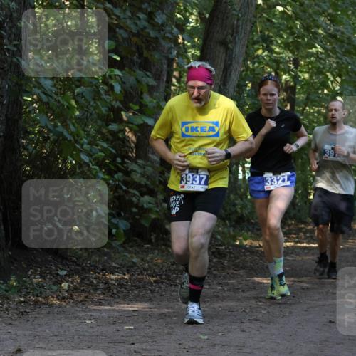 28.09.2025 - 33. Volkslauf durch das schöne Alstertal Strokosch-Dieckow http://msf.ph/oto/8969391 28.09.2025 11:26:57 Laufen 3937, 3321, 39 meine-sportfotos.de
