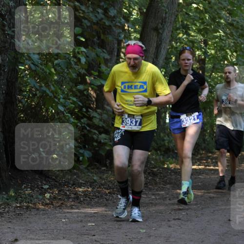 28.09.2025 - 33. Volkslauf durch das schöne Alstertal Strokosch-Dieckow http://msf.ph/oto/8969392 28.09.2025 11:26:57 Laufen 3937, 3321, 391 meine-sportfotos.de