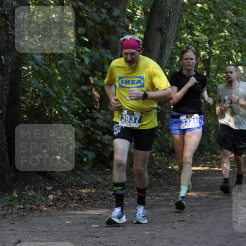 28.09.2025 - 33. Volkslauf durch das schöne Alstertal Strokosch-Dieckow http://msf.ph/oto/8969393 28.09.2025 11:26:57 Laufen 3937, 3321 meine-sportfotos.de