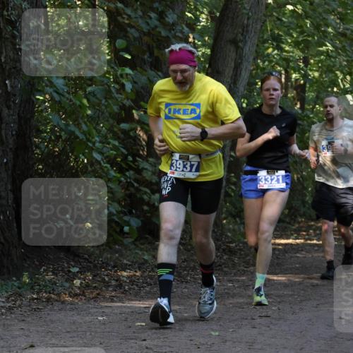 28.09.2025 - 33. Volkslauf durch das schöne Alstertal Strokosch-Dieckow http://msf.ph/oto/8969394 28.09.2025 11:26:57 Laufen 3937, 3321, 39 meine-sportfotos.de