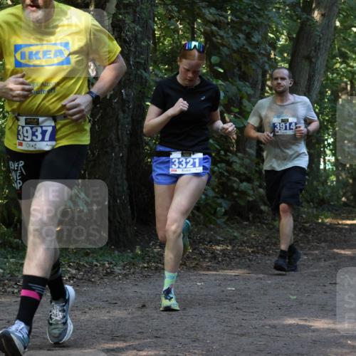 28.09.2025 - 33. Volkslauf durch das schöne Alstertal Strokosch-Dieckow http://msf.ph/oto/8969395 28.09.2025 11:26:58 Laufen 3937, 3321, 3914 meine-sportfotos.de