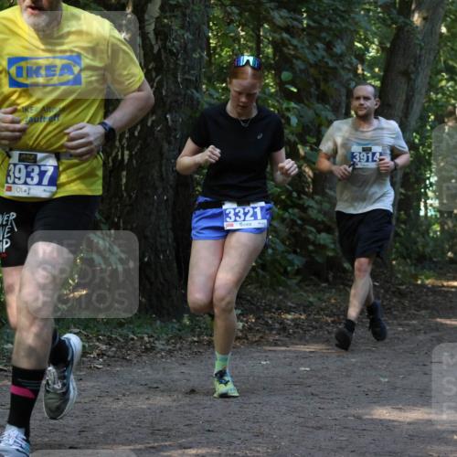 28.09.2025 - 33. Volkslauf durch das schöne Alstertal Strokosch-Dieckow http://msf.ph/oto/8969396 28.09.2025 11:26:58 Laufen 3937, 3321, 3914 meine-sportfotos.de