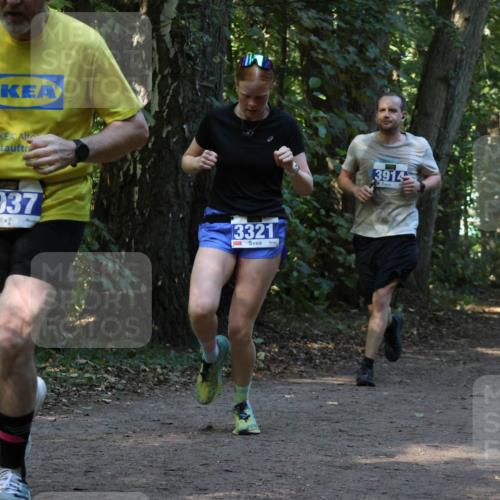 28.09.2025 - 33. Volkslauf durch das schöne Alstertal Strokosch-Dieckow http://msf.ph/oto/8969397 28.09.2025 11:26:59 Laufen 3937, 3321, 3914 meine-sportfotos.de