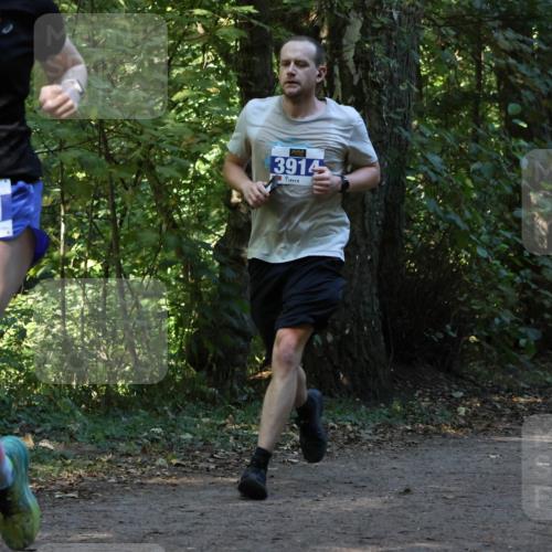 28.09.2025 - 33. Volkslauf durch das schöne Alstertal Strokosch-Dieckow http://msf.ph/oto/8969398 28.09.2025 11:27:00 Laufen 3321, 3914 meine-sportfotos.de