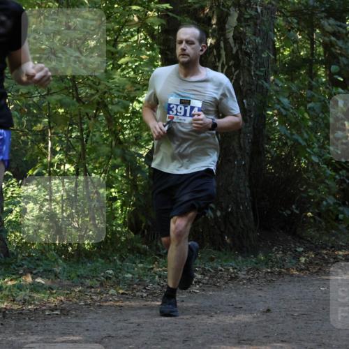 28.09.2025 - 33. Volkslauf durch das schöne Alstertal Strokosch-Dieckow http://msf.ph/oto/8969399 28.09.2025 11:27:00 Laufen 3321, 3914 meine-sportfotos.de