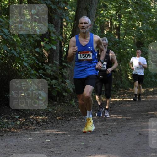 28.09.2025 - 33. Volkslauf durch das schöne Alstertal Strokosch-Dieckow http://msf.ph/oto/8969402 28.09.2025 11:27:10 Laufen 1509, 44, 3930 meine-sportfotos.de
