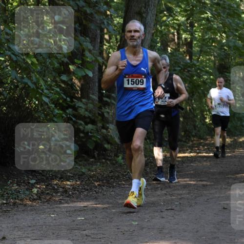 28.09.2025 - 33. Volkslauf durch das schöne Alstertal Strokosch-Dieckow http://msf.ph/oto/8969403 28.09.2025 11:27:10 Laufen 1509, 354, 3930 meine-sportfotos.de