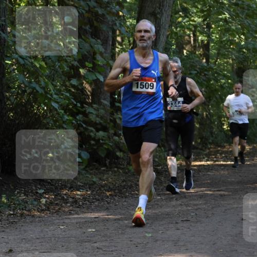 28.09.2025 - 33. Volkslauf durch das schöne Alstertal Strokosch-Dieckow http://msf.ph/oto/8969405 28.09.2025 11:27:10 Laufen 1509, 3344 meine-sportfotos.de