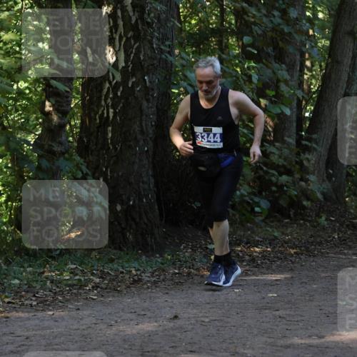 28.09.2025 - 33. Volkslauf durch das schöne Alstertal Strokosch-Dieckow http://msf.ph/oto/8969406 28.09.2025 11:27:12 Laufen 3344 meine-sportfotos.de