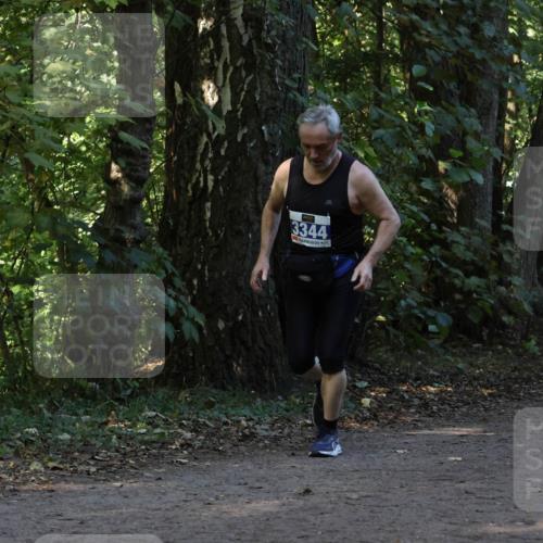 28.09.2025 - 33. Volkslauf durch das schöne Alstertal Strokosch-Dieckow http://msf.ph/oto/8969409 28.09.2025 11:27:12 Laufen 3344 meine-sportfotos.de