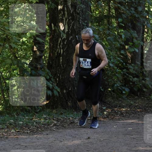 28.09.2025 - 33. Volkslauf durch das schöne Alstertal Strokosch-Dieckow http://msf.ph/oto/8969410 28.09.2025 11:27:12 Laufen 3344 meine-sportfotos.de