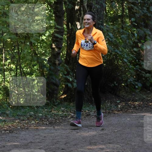 28.09.2025 - 33. Volkslauf durch das schöne Alstertal Strokosch-Dieckow http://msf.ph/oto/8969417 28.09.2025 11:27:28 Laufen 3236 meine-sportfotos.de