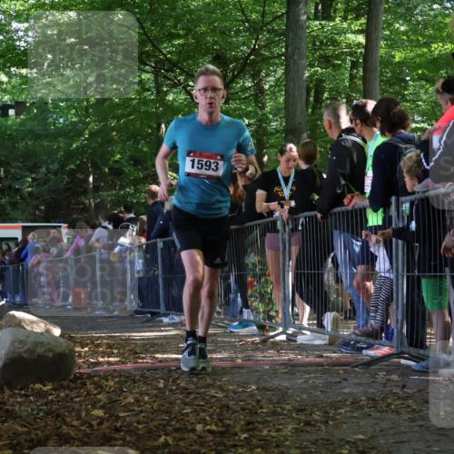 28.09.2025 - 33. Volkslauf durch das schöne Alstertal Strokosch-Dieckow http://msf.ph/oto/8969419 28.09.2025 11:50:09 Ziel 1007, 1593, 3389, 3390 meine-sportfotos.de