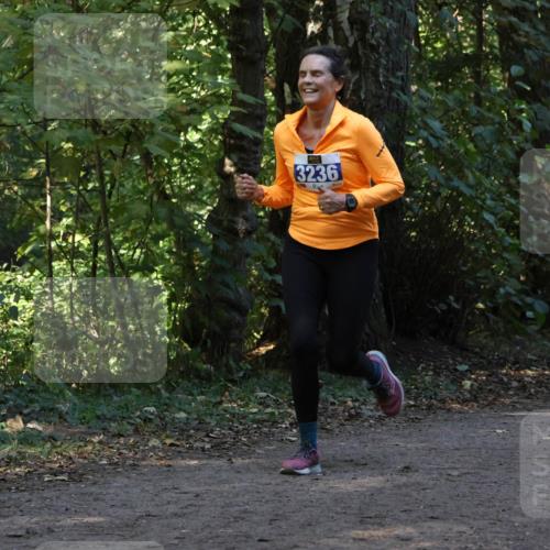 28.09.2025 - 33. Volkslauf durch das schöne Alstertal Strokosch-Dieckow http://msf.ph/oto/8969420 28.09.2025 11:27:28 Laufen 3236 meine-sportfotos.de