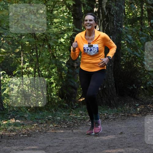 28.09.2025 - 33. Volkslauf durch das schöne Alstertal Strokosch-Dieckow http://msf.ph/oto/8969422 28.09.2025 11:27:29 Laufen 3236 meine-sportfotos.de