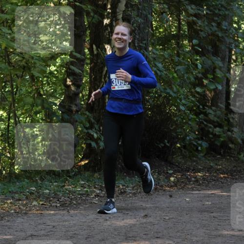 28.09.2025 - 33. Volkslauf durch das schöne Alstertal Strokosch-Dieckow http://msf.ph/oto/8969424 28.09.2025 11:27:32 Laufen 3095, 3115 meine-sportfotos.de