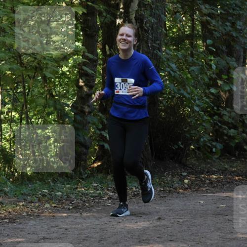 28.09.2025 - 33. Volkslauf durch das schöne Alstertal Strokosch-Dieckow http://msf.ph/oto/8969425 28.09.2025 11:27:32 Laufen 3095, 3115 meine-sportfotos.de