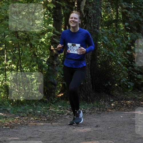 28.09.2025 - 33. Volkslauf durch das schöne Alstertal Strokosch-Dieckow http://msf.ph/oto/8969426 28.09.2025 11:27:32 Laufen  meine-sportfotos.de