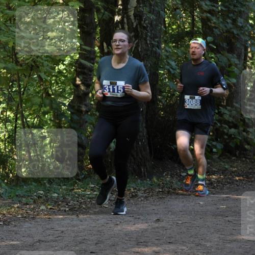 28.09.2025 - 33. Volkslauf durch das schöne Alstertal Strokosch-Dieckow http://msf.ph/oto/8969427 28.09.2025 11:27:34 Laufen 3115, 3088 meine-sportfotos.de