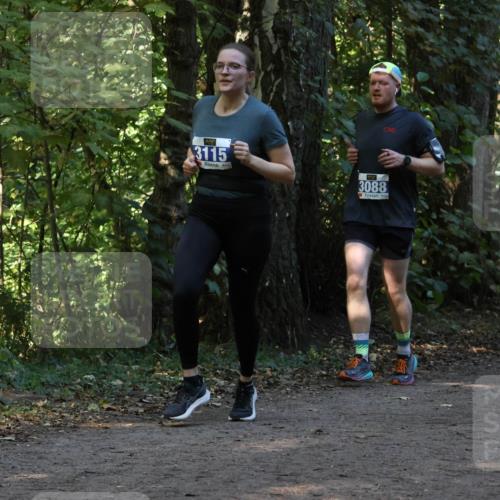 28.09.2025 - 33. Volkslauf durch das schöne Alstertal Strokosch-Dieckow http://msf.ph/oto/8969428 28.09.2025 11:27:34 Laufen 3115, 3088 meine-sportfotos.de