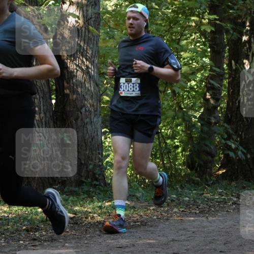 28.09.2025 - 33. Volkslauf durch das schöne Alstertal Strokosch-Dieckow http://msf.ph/oto/8969431 28.09.2025 11:27:36 Laufen 3115, 3088 meine-sportfotos.de