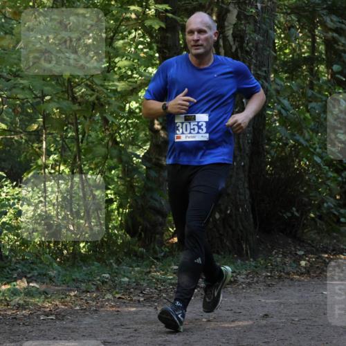 28.09.2025 - 33. Volkslauf durch das schöne Alstertal Strokosch-Dieckow http://msf.ph/oto/8969432 28.09.2025 11:27:43 Laufen 3053 meine-sportfotos.de