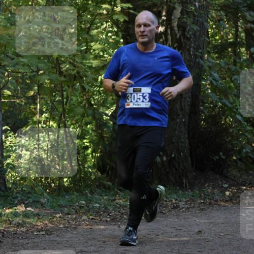 28.09.2025 - 33. Volkslauf durch das schöne Alstertal Strokosch-Dieckow http://msf.ph/oto/8969433 28.09.2025 11:27:43 Laufen 3053 meine-sportfotos.de