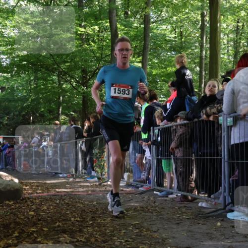 28.09.2025 - 33. Volkslauf durch das schöne Alstertal Strokosch-Dieckow http://msf.ph/oto/8969438 28.09.2025 11:50:10 Ziel 1593, 3389, 3390 meine-sportfotos.de