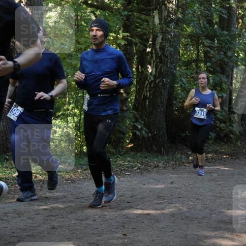 28.09.2025 - 33. Volkslauf durch das schöne Alstertal Strokosch-Dieckow http://msf.ph/oto/8969439 28.09.2025 11:27:50 Laufen 3279, 199, 3318, 3950, 3189 meine-sportfotos.de