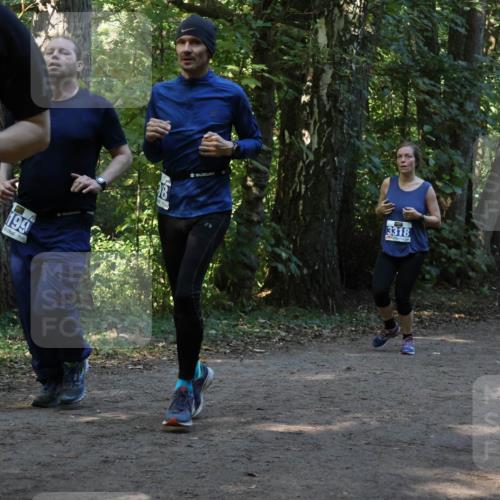 28.09.2025 - 33. Volkslauf durch das schöne Alstertal Strokosch-Dieckow http://msf.ph/oto/8969440 28.09.2025 11:27:50 Laufen 327, 199, 3189, 3318 meine-sportfotos.de