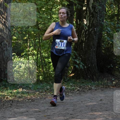 28.09.2025 - 33. Volkslauf durch das schöne Alstertal Strokosch-Dieckow http://msf.ph/oto/8969442 28.09.2025 11:27:52 Laufen 3318, 3189 meine-sportfotos.de