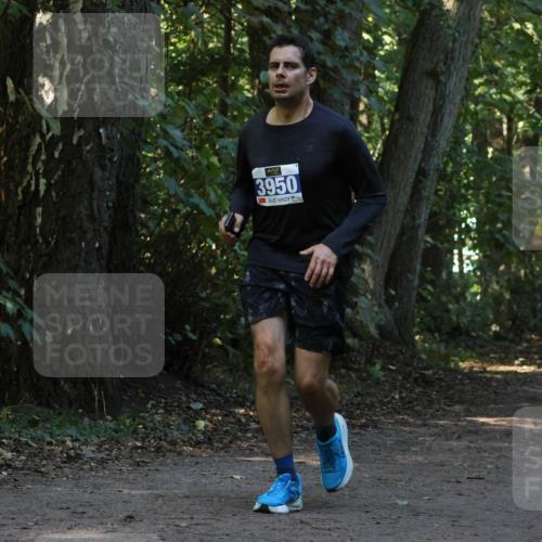 28.09.2025 - 33. Volkslauf durch das schöne Alstertal Strokosch-Dieckow http://msf.ph/oto/8969445 28.09.2025 11:27:54 Laufen 3950, 3905 meine-sportfotos.de